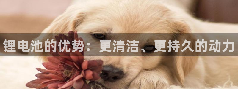 尊龙新版app首页