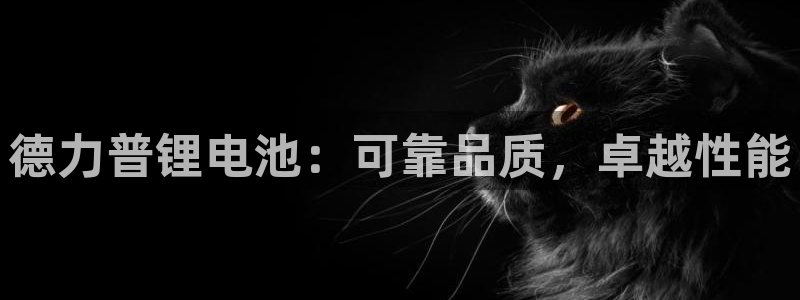 尊龙体育正规么