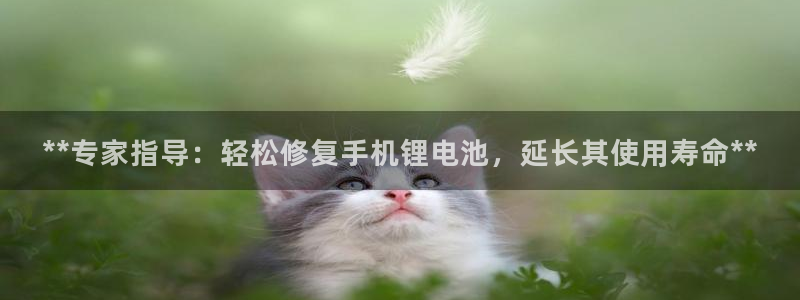 尊龙 5
