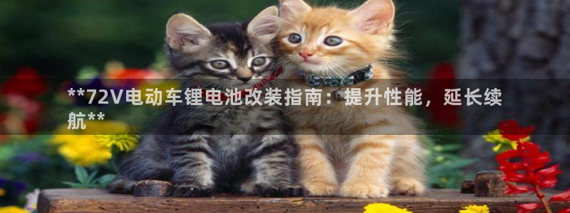 尊龙人生就是博旧版