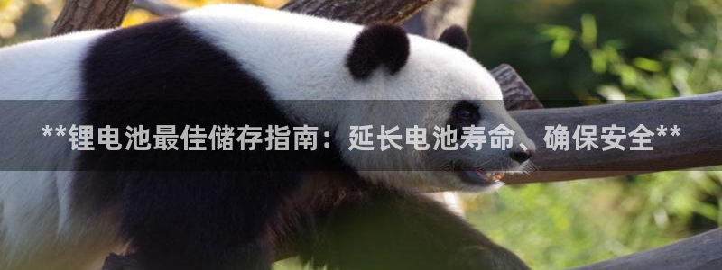 尊龙凯时城娱乐