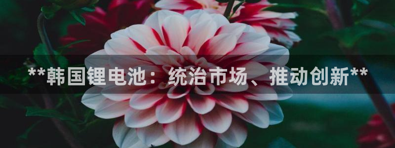 ag尊龙凯时官网
