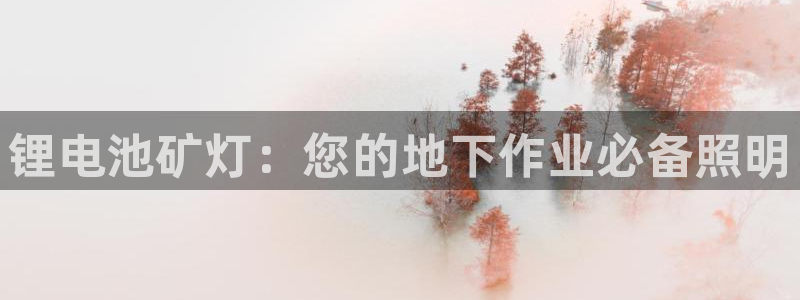 尊龙凯时开发