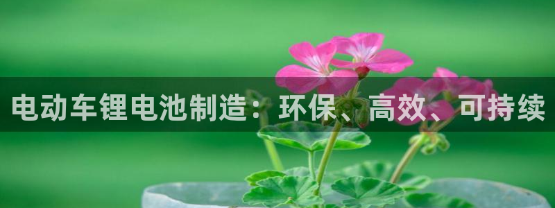 尊龙官网APP下载