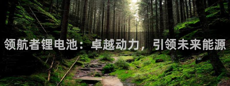 尊龙凯时推荐人