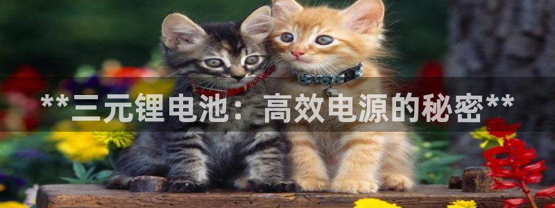 尊龙500价格