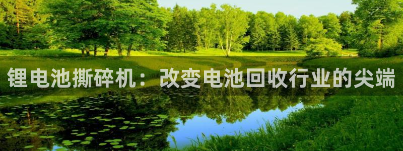 尊龙凯时 人生就是搏