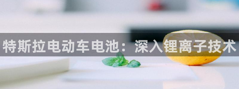 尊龙官方app下载