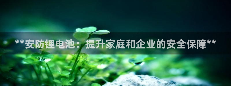尊龙凯时·中国官方网站