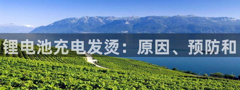 尊龙人生就是博官方官网