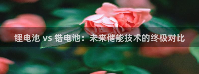 尊龙目前情况