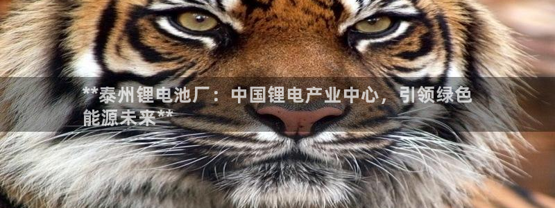 尊龙凯时 - 人生就是搏有假吗