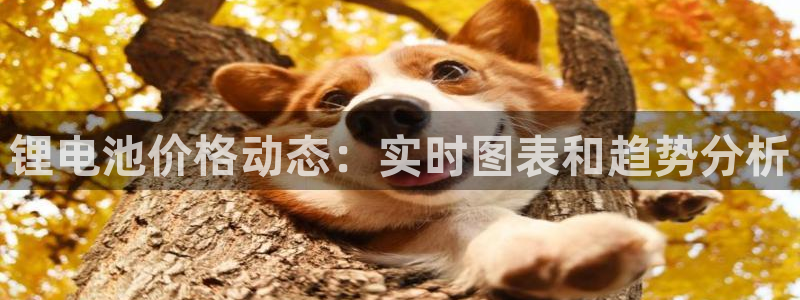 尊龙人生就是博网站下载