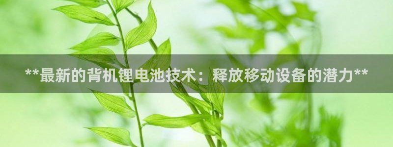 凯时国际最新