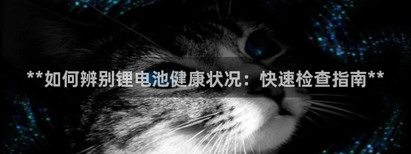 尊龙手机版下载
