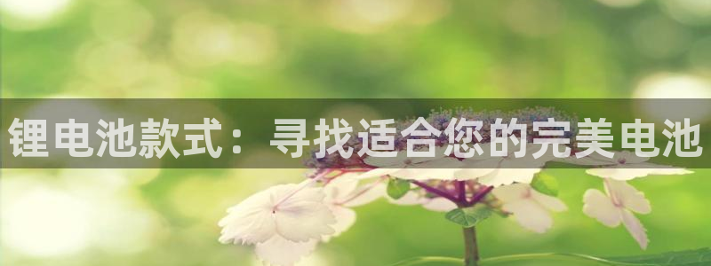 尊龙百度百科
