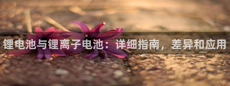 尊龙凯时取钱很慢