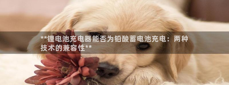 尊龙凯时输了100万