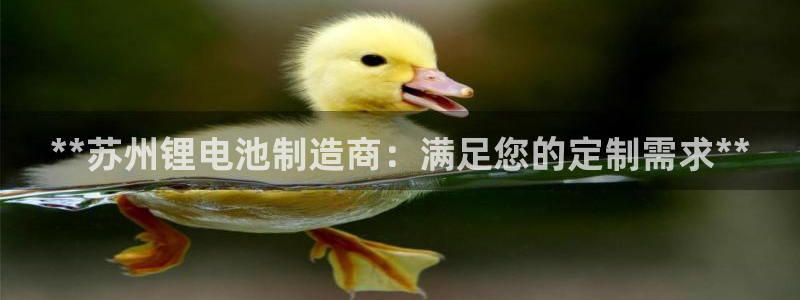 ag尊龙凯时俱乐部