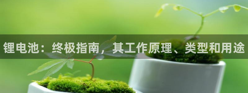 尊龙凯时官方网站下载