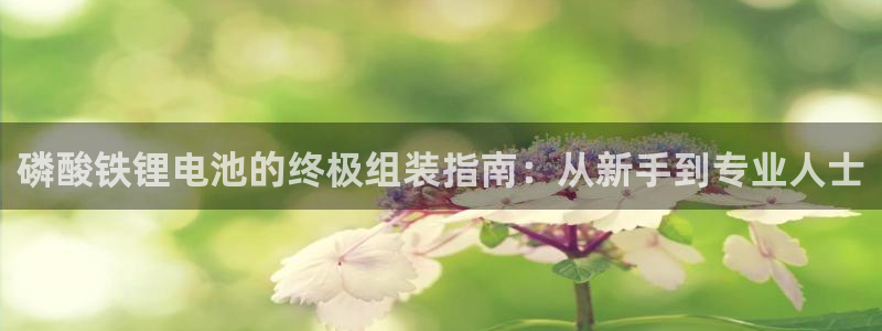 尊龙凯时登陆入口
