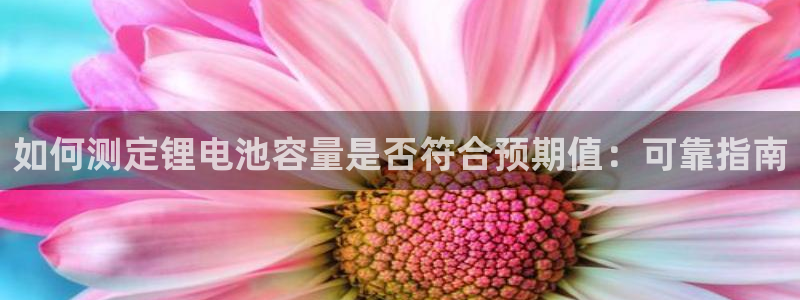 凯时效果怎么样