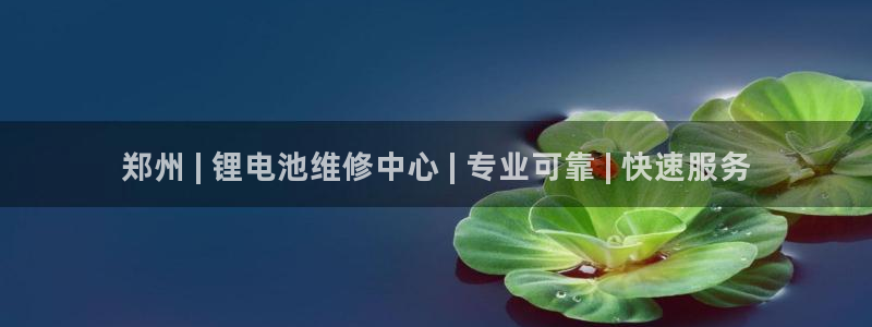 ZL尊龙凯时集团