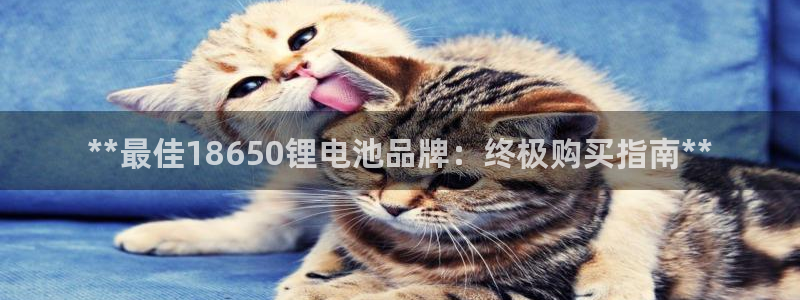 尊龙人生就是-首页(中国)有限公司
