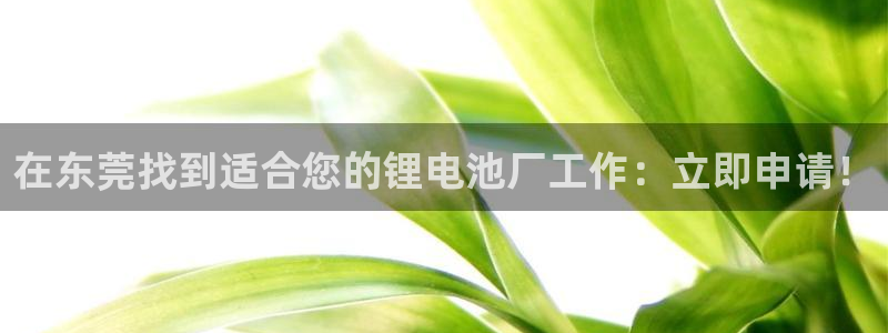 尊龙凯时网站赌愽是真的吗
