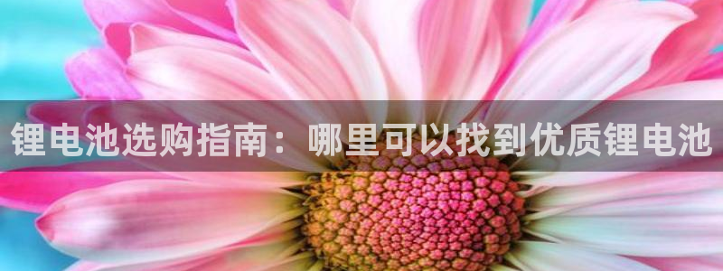 尊龙ag旗舰官网