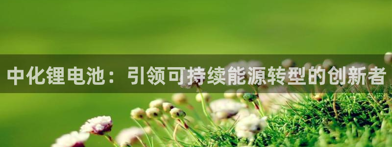 d88尊龙z6
