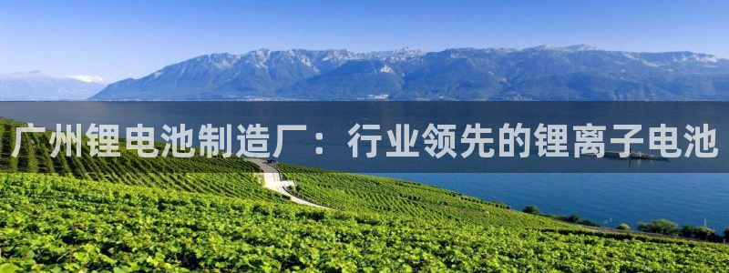 凯时登录平台去AG发财网