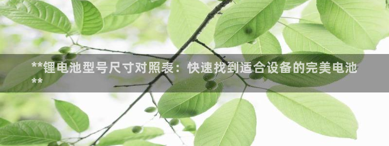 尊龙凯时人生就是搏 品牌专区