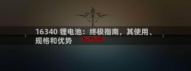 尊龙网站人生就是博
