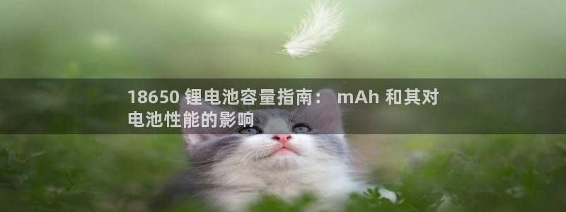 尊龙凯时有假么