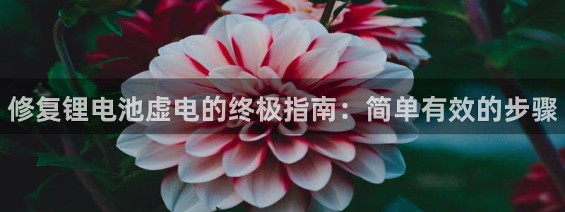 尊龙凯时官方网站下载