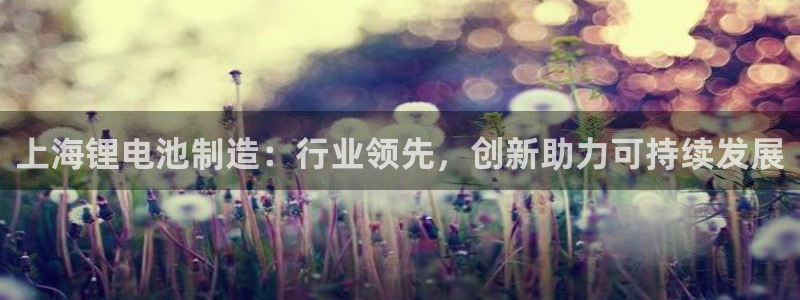 尊龙凯时平台信誉怎样