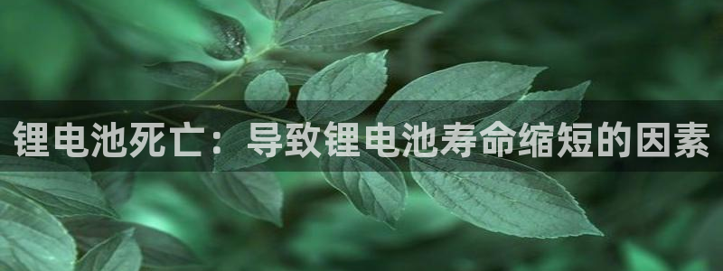 尊龙凯时是哪个国家的