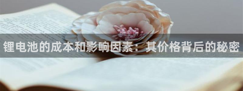 尊龙凯时台子