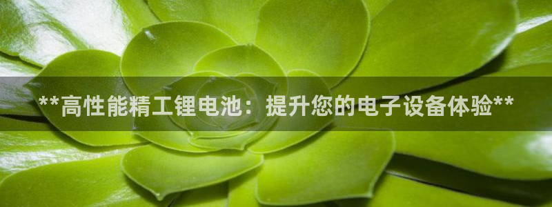 尊龙凯时的生产设备