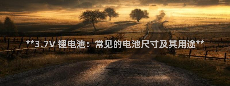 尊龙凯时app官网