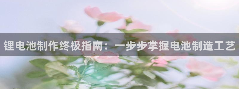 凯时尊龙app国际官方网站