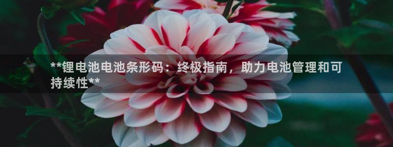 尊龙凯时 - 人生就是搏手机登录