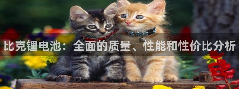 凯时网址多少