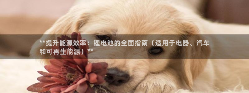 尊龙新版app首页