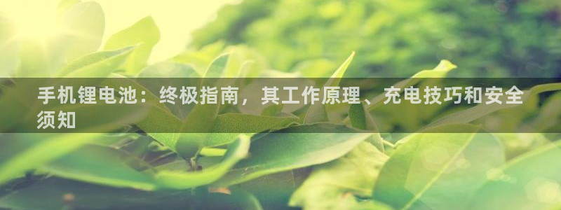尊龙网址登录官网