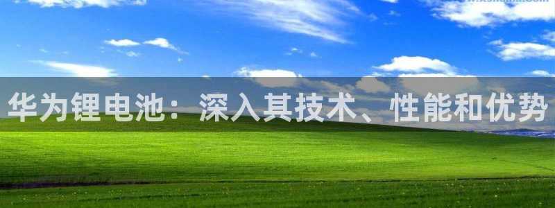 尊龙凯时赞助
