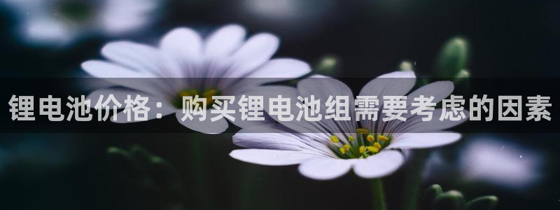 尊龙人生就是博旧
