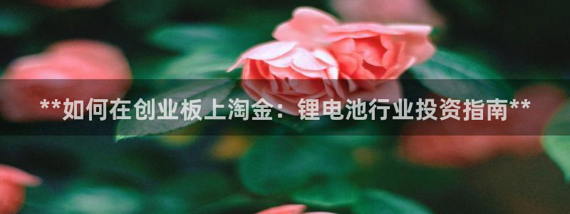 尊龙凯时投诉最狠的方法