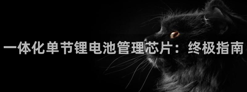 尊龙凯时ag旗舰
